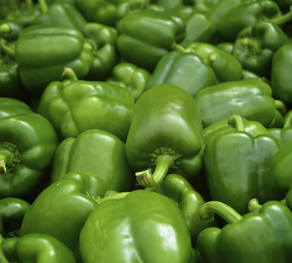 Capsicum Green