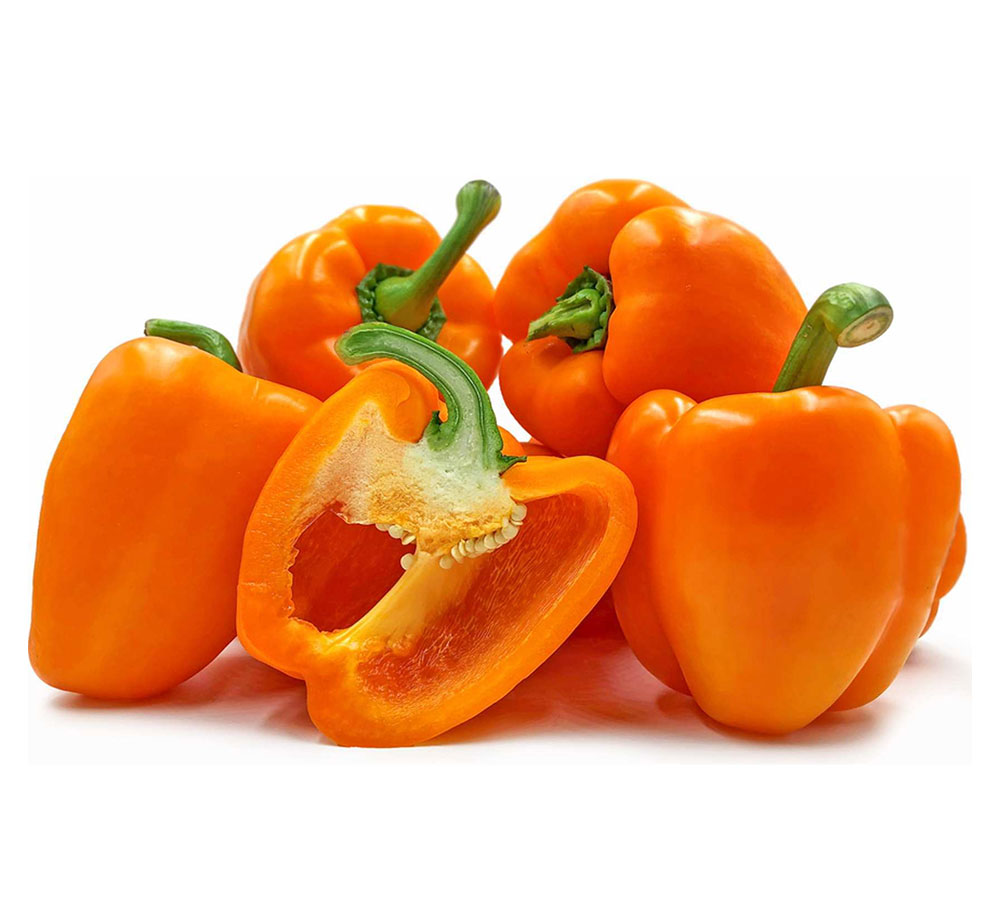 Capsicum Orange