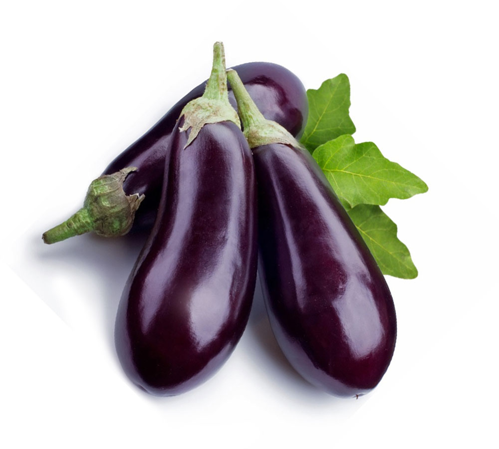 Egg Plant Long