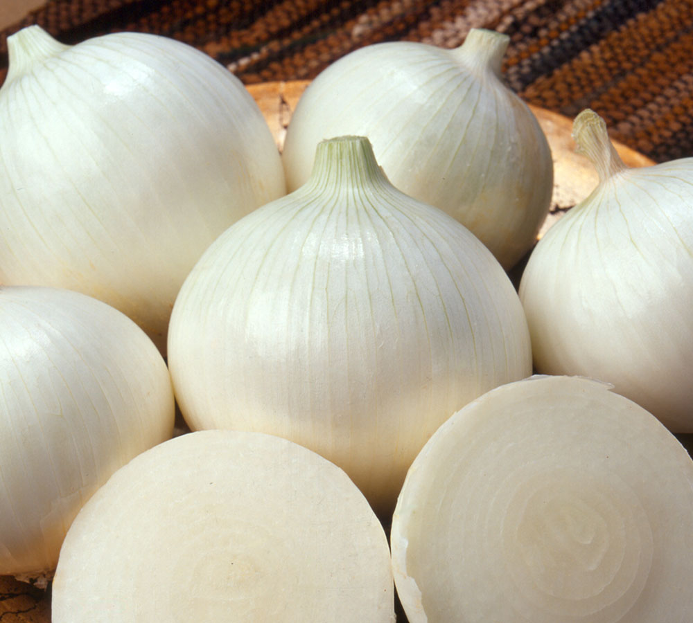 Onion white