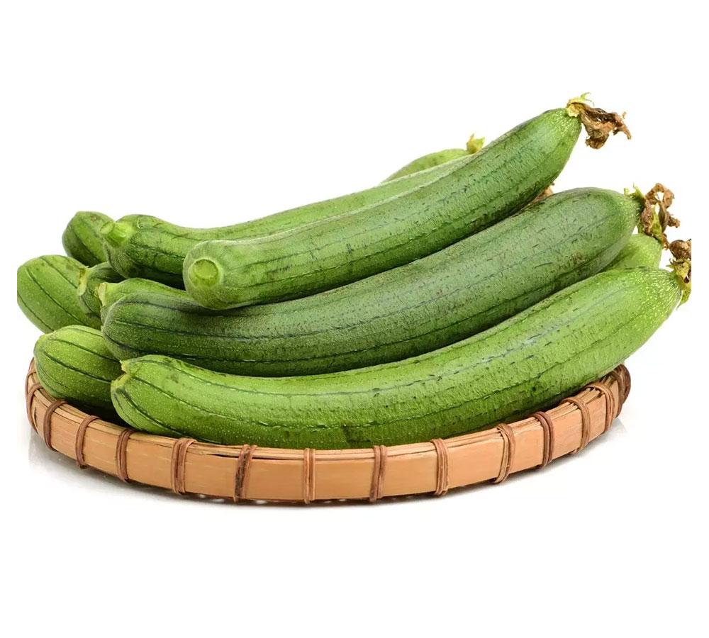 Ridge Gourd