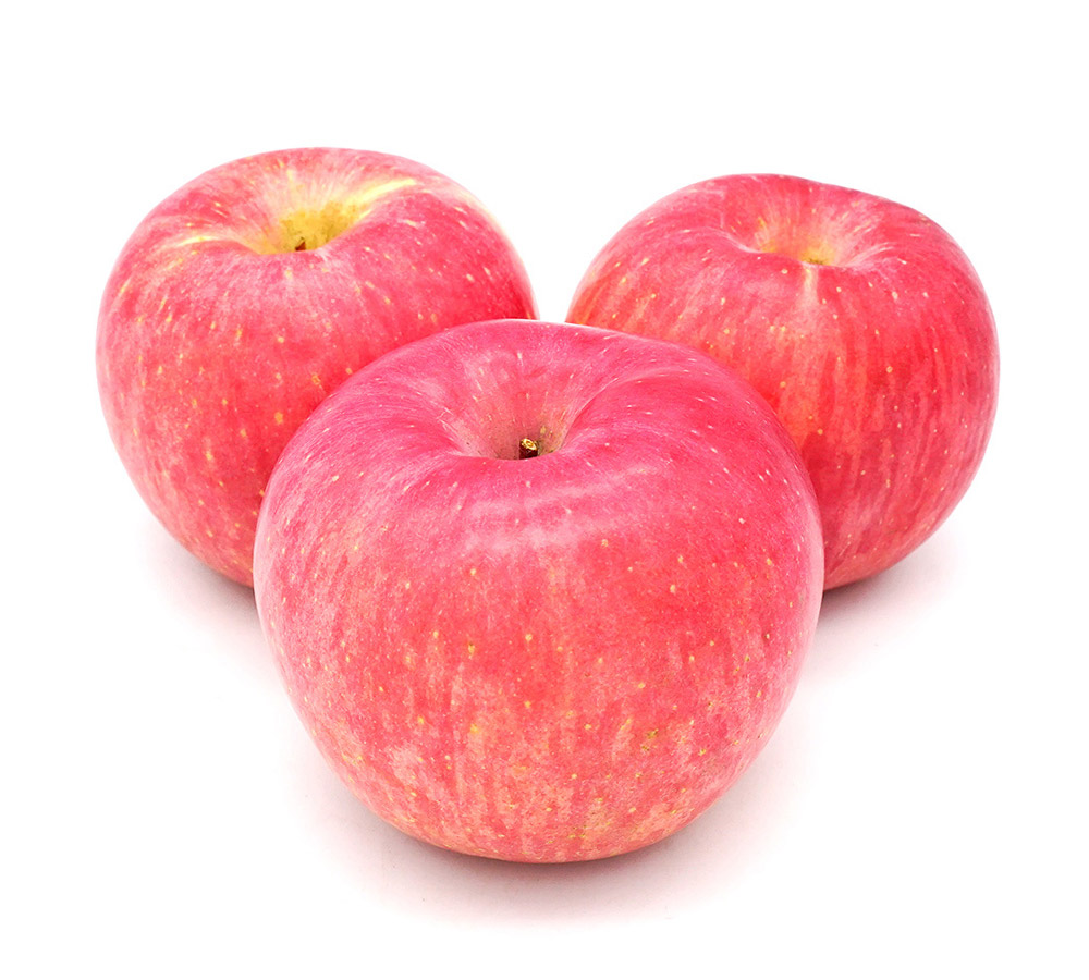 Apple FUJI Exporters