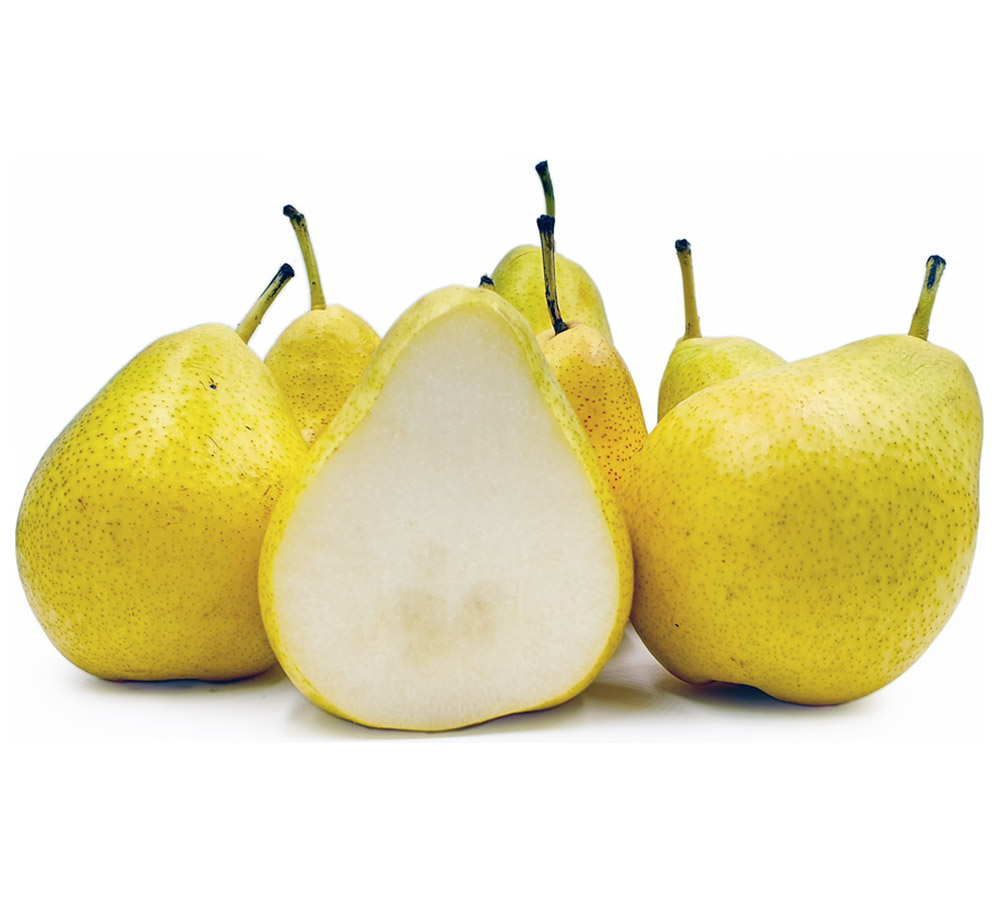 Vermont Beauty Pears Exporters