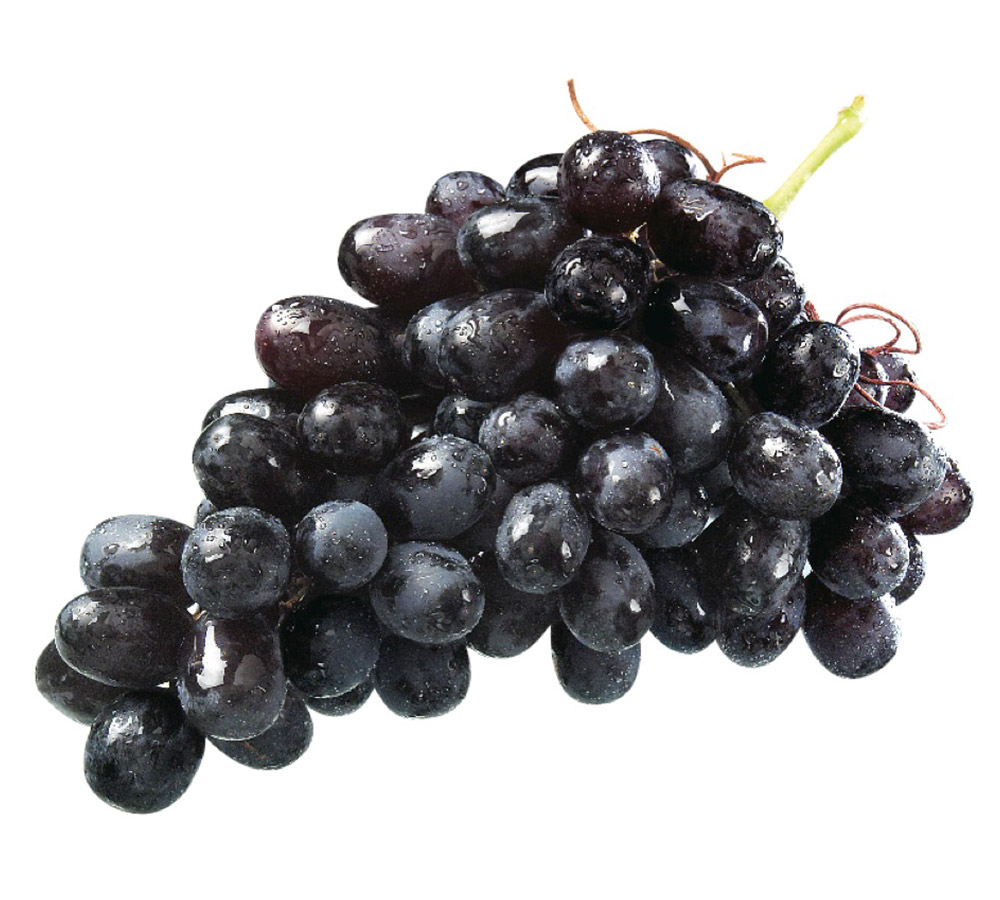 Black Seedless Grapes Exporters