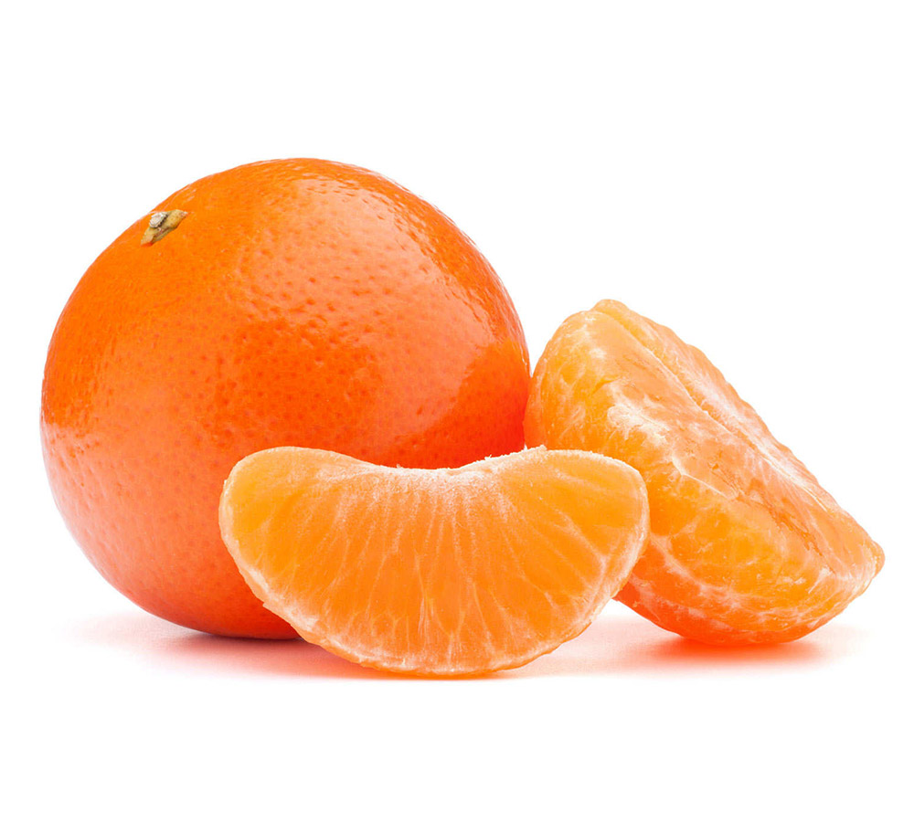 Mandarin Citrus Exporters