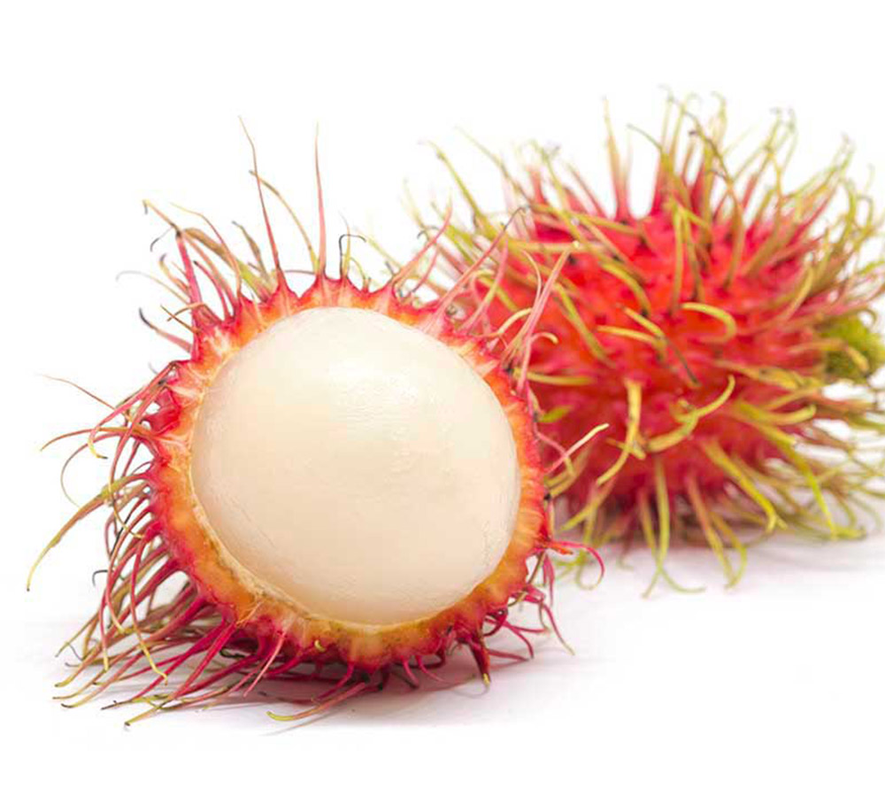 Rambutan Fruit Exporters