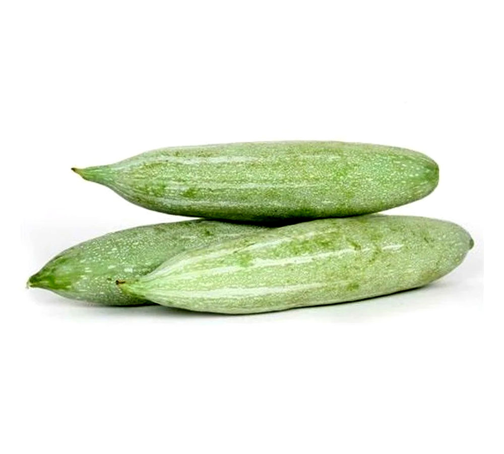 Snake Gourd Small