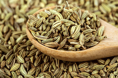 Fennel Seed