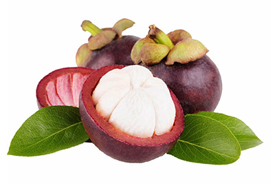 Mangosteen