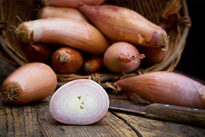 Shallots Onion