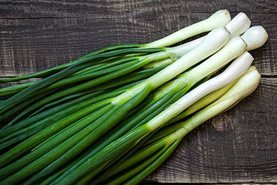 Spring Onion