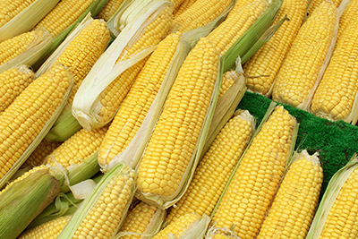 Sweet Corn